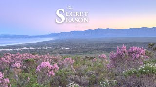 The Secret Season  May to August  Grootbos Private Nature Reserve [upl. by Acinej]