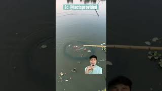 TANGKAP IKAN PAKAI UMPAN SEMANGKA ⁉️Sc factsprovided fishing fish funny [upl. by Savihc]