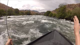 Whitehorse rapid Deschutes riverDeep canyon outfitters and Tulum fly fishing guide John Earls [upl. by Evanthe]