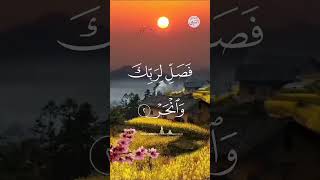 Surah kosar ki tilawat 🤲🤲🤲beautiful islamicmusic like shortvideo like [upl. by Raamal]