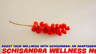 Boost Your Wellness with Schisandra An Adaptogenic Powerhouse [upl. by Cockburn]