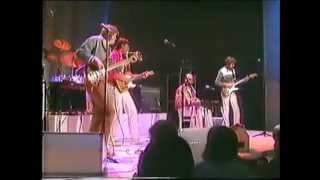 The Spotnicks 1983  Hit Medley [upl. by Nagam]