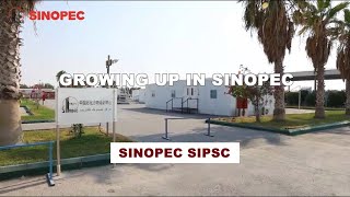 Growing up in Sinopec [upl. by Naejamron342]