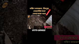 Termite control in kafrul Dhaka PestControlbd termitecontrol cockroachcontrol nearpest shorts [upl. by Eelyah]