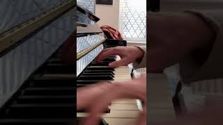 Practicing Octaves from Liszt’s Funérailles [upl. by Picco808]