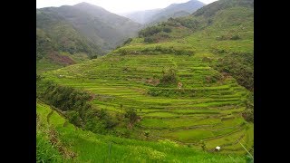 12 Best Tourist Attractions in Ifugao Province Philippines [upl. by Oicafinob474]