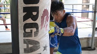 Jerwin Ancajas Ready For Another Defense [upl. by Renmus942]