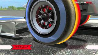 Formula 1 One Pneumatici Pirelli PZero F1 La Tecnica e le Performance [upl. by Thaddeus]