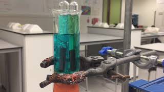 Electrolysis of an Aqueous Solution [upl. by Mechling]