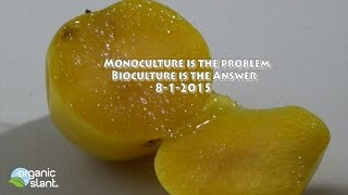 Monoculture is the ProblemBioculture is the Answer 812015  Organic Slant [upl. by Eibot]