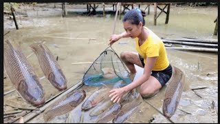 Today I took out the pond and there were incredibly big fish [upl. by Maura]