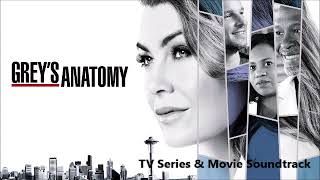 Andy Grammer  Always Audio GREYS ANATOMY  14X20  SOUNDTRACK [upl. by Irafat]