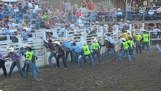 Wild Horse Race at 2017 Omak Stampede [upl. by Yerok]