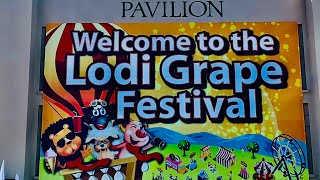 Fun at Lodi California Grape Festival [upl. by Akialam]