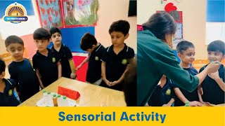 Sensorial Activity  The Charter School [upl. by Kennith]