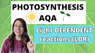 PHOTOSYNTHESIS Light Dependent ReactionAlevel Biology Photolysis photoionisation amp chemiosmosis [upl. by Ostler]