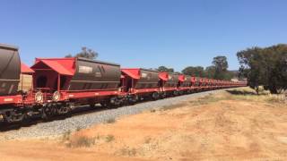 WESTERN AUSTRALIAN FREIGHT TRAIN [upl. by Anilatac518]