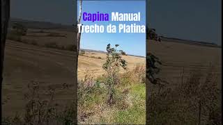 CAPINA MANUAL  BPLF PR [upl. by Ahtelahs]