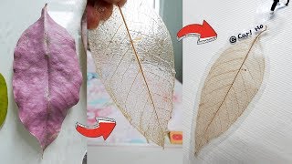 【DIY教學】 真葉製成透明葉脈書籤 Skeleton Leaf from dead leaf [upl. by Amanda378]