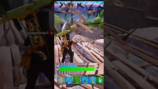 Knocked teammate with the assist of the century fortnite fortnitebattleroyale fortniteclips [upl. by Halyahs375]