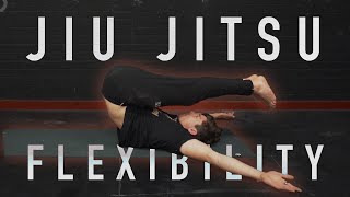 30 Minute Jiu Jitsu BJJ Flexibility Routine FOLLOW ALONG [upl. by Nanreh]