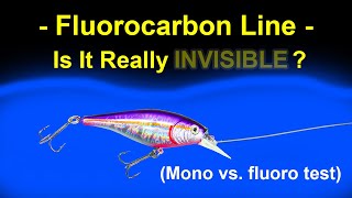 Fluorocarbon vs Monofilament Lines  Visibility Test Underwater [upl. by Anav178]