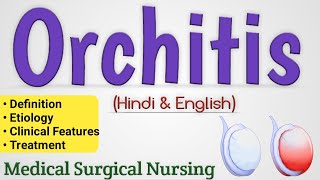 Orchitis  Orchitis In Hindi Medical Surgical Nursing [upl. by Foscalina]