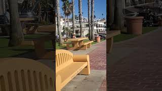 San Clemente  Orange County LA California14092024🐬⛱️🌴 [upl. by Dolley530]