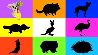 Australian Animals Learn Animal Names and Sounds  Educational Video for Kids 🐨 [upl. by Ilecara]