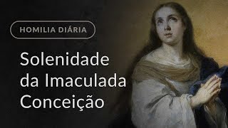 Solenidade da Imaculada Conceição Homilia Diária1025 [upl. by Aydni]