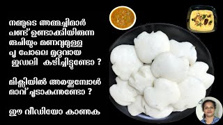 How to make soft and tasty idli  Traditional and authentic Idli recipe [upl. by Normak]