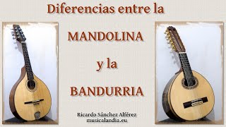 quotDiferencias CLAVE entre la bandurria y la mandolinaquot [upl. by Lula]