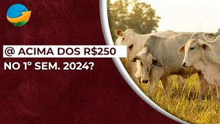 Arroba bovina acima de R250 no 1º sem 2024 Especialista vê como improvável [upl. by Mavilia]