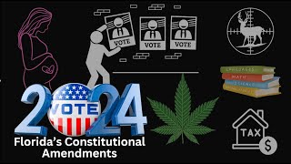 Florida Constitutional Amendments Explained [upl. by Attenyl]