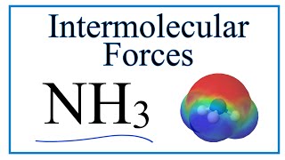 Intermolecular Forces for NH3 Ammonia [upl. by Nhguavahs]