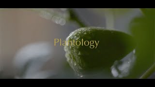 Plantology Brand Film [upl. by Marissa]