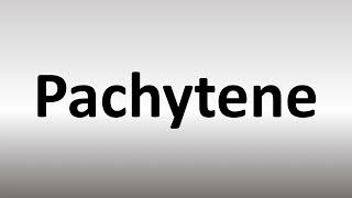 How to Pronounce Pachytene [upl. by Nauqal]