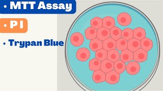 🛑 CELL VIABILITY ASSAYS  MTT Assay  Alamar Blue  Propidium Iodide  Cell TIter Glo [upl. by Sibby443]