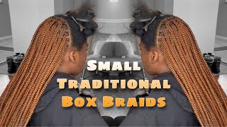 Traditional Small Box Braids Using “Auburn” Hair Blend [upl. by Haroppizt]