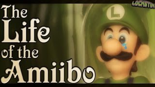 The Life of an Amiibo A Truly Factual Documentary [upl. by Aihsemek463]