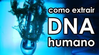 Como extrair DNA humano EXPERIÊNCIA [upl. by Rebekah]