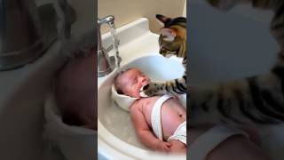 cat 🐈 bathing baby [upl. by Nahn]