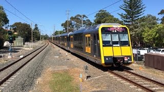 Sydney Trains Vlog 573 Miranda [upl. by Raddi503]