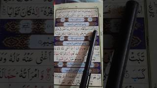 Surah AnNasr  Iza Jaa Nasrullahi Wal Fath  heart touching Quran recitationislamicshorts [upl. by Nylrehc122]