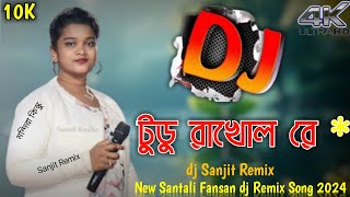 Tudu Bakhol Re  Mandira Kisku  New Santali Fansan dj Remix Song 2024 dj Sanjit Remix [upl. by Derina791]