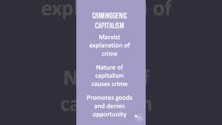 Criminogenic Capitalism  60 Second Sociology Crime and Deviance [upl. by Guimar]