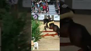 Harls did so well at HOYS Ik this was a while ago but still horse HOYS harlowandpopcorn show [upl. by Nogaem]