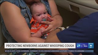 Protecting newborns against whooping cough [upl. by Solberg]