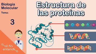 Estructura de las proteínas y enlaces que la estabilizan Al fin entendí Biología molecular [upl. by Kampmann357]