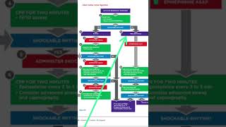 ACLS Protocol for Pulseless Electrical activity norcet7 norcet7papersolution rncctestseries [upl. by Santos833]